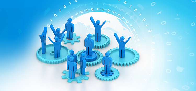 Team-Based Support Model