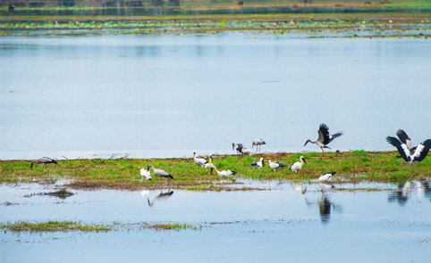 Bengaluru Lakes Set For Rejuvination - BW Businessworld