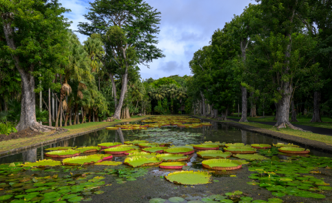 Doddasaggere botanical garden in Karnataka sees rise in number of species, including near-threatened and rare ones