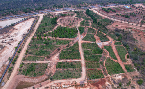 Doddasaggere botanical garden in Karnataka sees rise in number of species, including near-threatened and rare ones